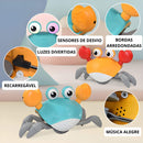 Caranguejo e Polvo Elétrico - Brink Start